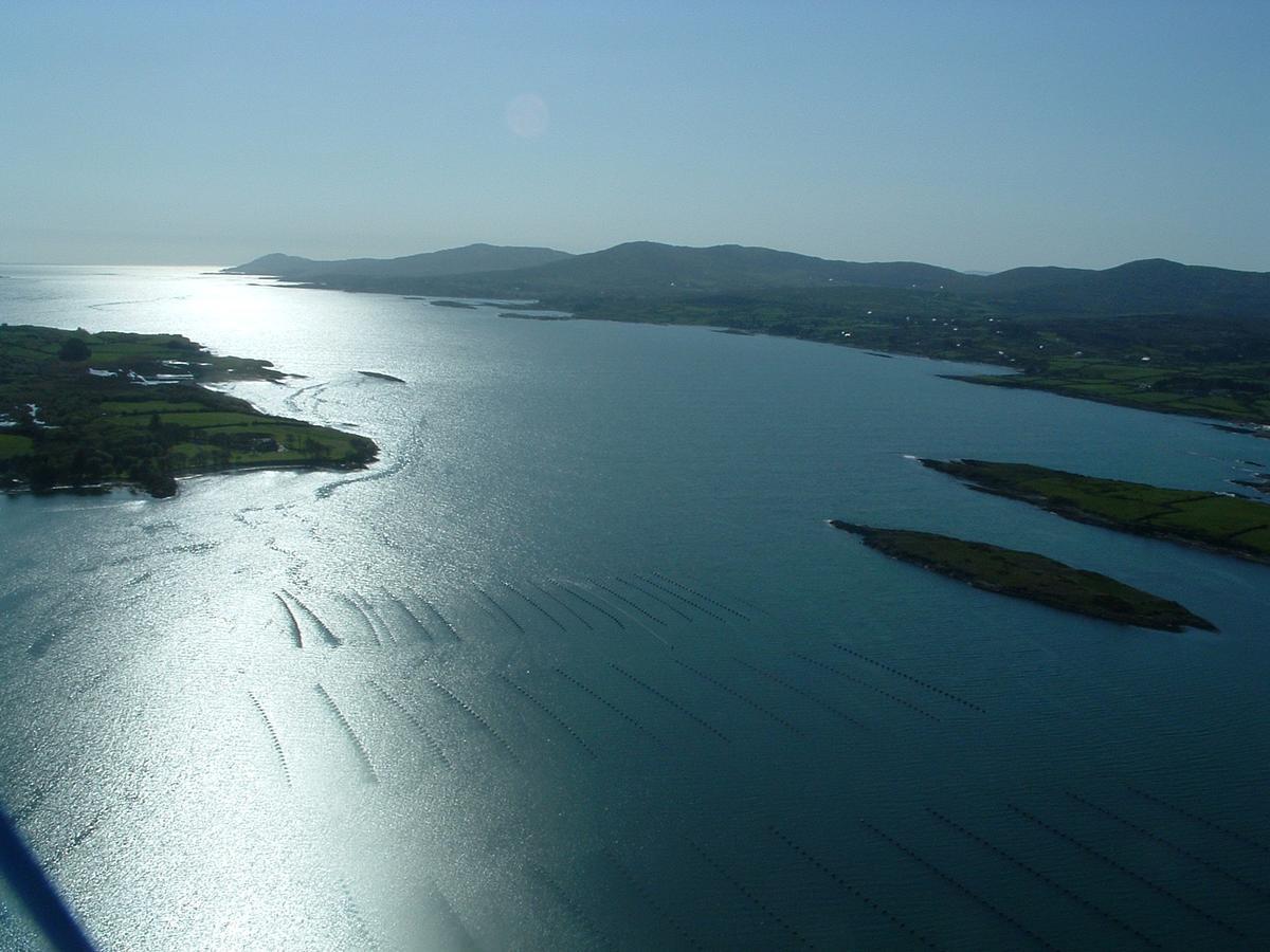 Blairscove House & Restaurant Hotel Durrus ภายนอก รูปภาพ